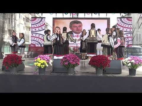 Târgul Mărului 2023 - Spectacol (13)