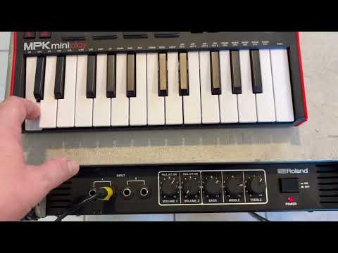 Vintage 1980's Roland Cube CK-100 Keyboard Amp w/ wheels image 8