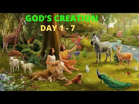 God's Creation | Day 1-7 | The Story of Creation |
