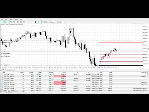 Video Camarilla Equation