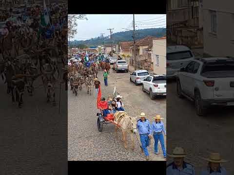 7º Encontro Tropeiro: Piraí do Sul Revive suas Raízes
