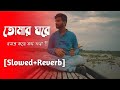 Tomar Ghore Bosot Kore Koyjona [Slowed+Reverbed] | Anirban Sur  | Lyrical Video | Aditya Editz