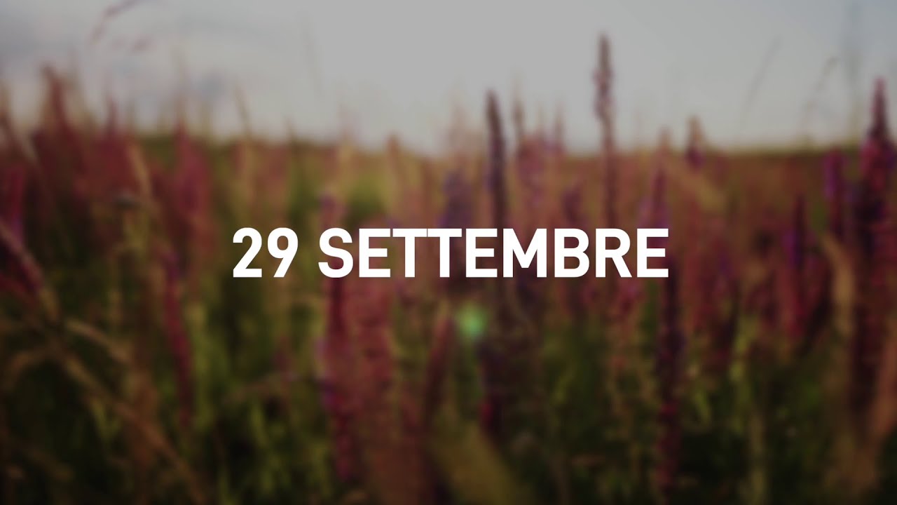 29 Settembre 2025 | Meditazione Parole di Vita
