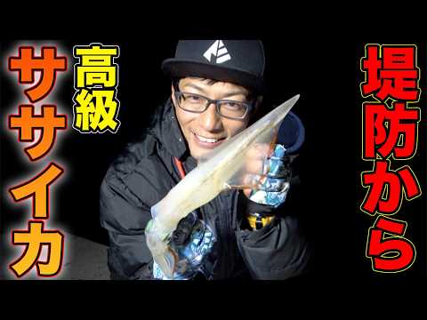遂にこの季節が！！堤防から高級イカを狙う！！