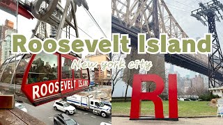 Roosevelt Island, NYC | ãã¥ãŒãšãŒã¯ðœã«ãŒãºãã«ãå³¶ | 2025 winter