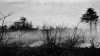 Dye by the Sword - Bats [Full Album]