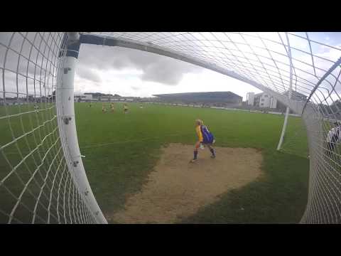 Late Late Leitrim Goals vs Clare