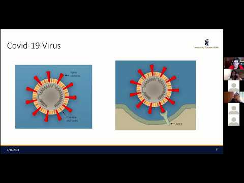 Câmara Municipal Virtual: COVID-19 na Comunidade Vietnamita