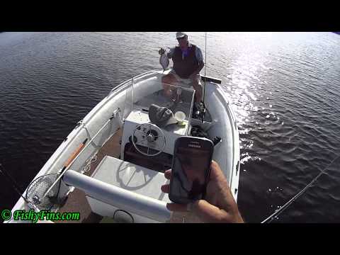 Ralph On Flounder Top Water Plug