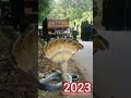 2023 seven head snake and 5000bce shorts ||mythical biology|| #shortvideo
