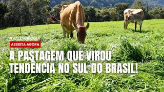 Miniatura do vídeo