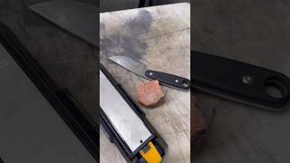 Worksharp diamond sharpener #shorts #sharpening #14c28n #knifestuffwedo #sharp #sharpener
