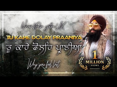 Tu Kahe Dolay Praniyaa | ਤੁ ਕਾਹੇ ਡੋਲਿਹ ਪ੍ਰਾਣੀਆ | Why You Feel Lost | Soothing Gurbani Kirtan | NKJ