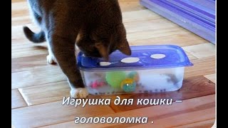 Игрушка для кошек своими руками из ПИЩЕВОГО КОНТЕЙНЕРА / toy for cats with their own hands