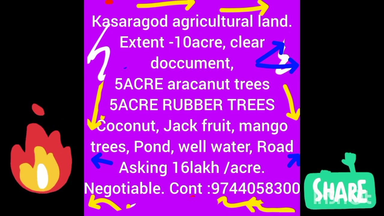 Kasaragod 10acre agricultural land for sale. 9744058300