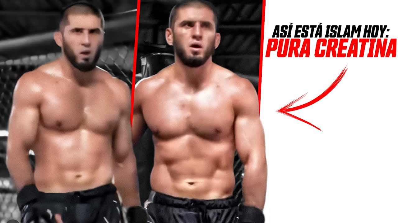 Islam Makhachev es PURA CREATINA! 💪