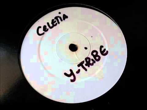 Y Tribe vs Celetia ‎- There I Go Again