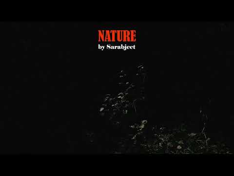 Nature a cinematic video by Sarabjeet