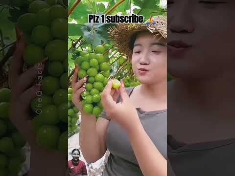 Plz subscribe  to my channel ❤️🙏🙏 #facts #fruit #amazingfacts