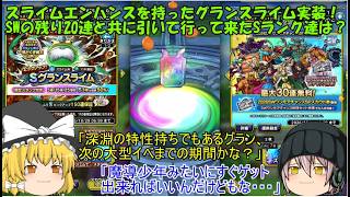 「ゆっくりDQタクト」394ページ目　スライムエンハンスを持ったグランスライム実装！SWの残り20連と共に引いて行って来たSランク達は？