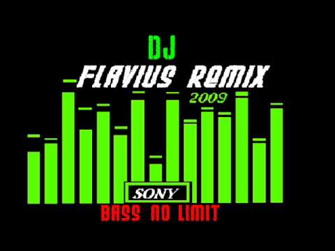 MUSIC DJ FLAVIUS 2009