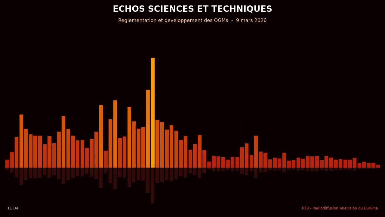 ECHO SCIENCES ET TECHNIQUES du 9 mars 2026 : les OGM, en questions au Burkina Faso