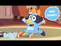 The Christmas Xylophone NEW Bluey Bonus Bit Bluey
