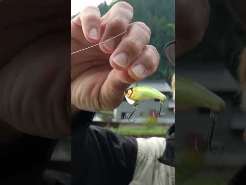 Воблер Jackall Tricoroll Vib