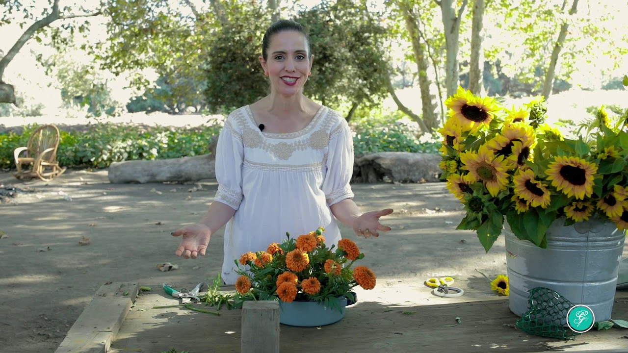 Watch Centro de mesa con girasoles y cempasúchil para otoño Now Centro de mesa con girasoles y cempasúchil para otoño