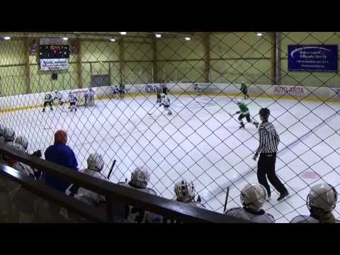 Salamat02 vs Jää-tiikerit Mäntsälä AA 01.02. 2015 Icehockey 1 period