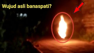 Download lagu 5 Clearest Banaspati Sightings Captured on Camera | Part 1 mp3