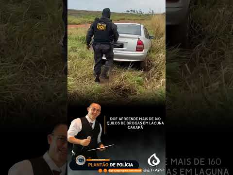 DOF apreende mais de 160 quilos de drogas em Laguna Carapã