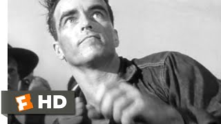 From Here to Eternity (1953) - Bare-Knuckle Boxing Scene (5/10) | Movieclips
