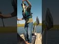 Video Thumbnail for Giant Walleye’s Caught On SPOONS