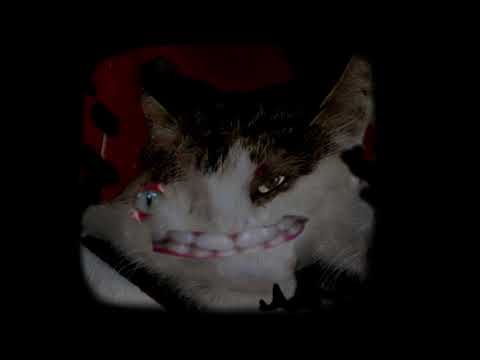 Deformed cat banished out of existence theme