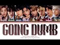 Stray Kids & Alesso, CORSAK 'Going Dumb' Lyrics (Color Coded Lyrics)