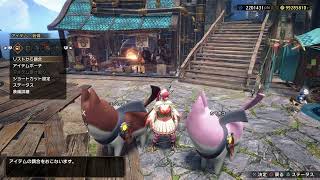 【MHRise:SB】最後のアプデが来る前に。