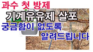 기계유유제 살포. 궁금함이 없이 알려드립니다.( 과수 병해충 방제, 과수 봄 방제, 친환경살충제,  기계유유…