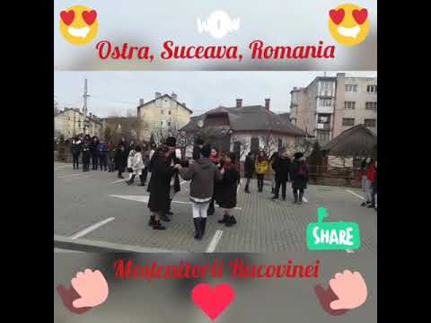 Tradiție, Bucovina, Ostra, Revelion.