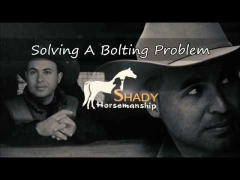 Solving Horse Bolting Problems