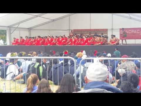 Catholic Cathedral College Polyfest 2017