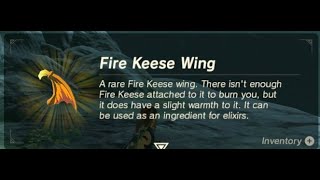 Fire Keese Wing | Farming Location | Zelda BOTW