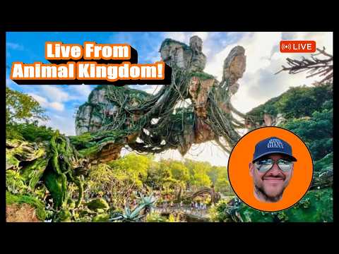 Live webcam of Theme Park Giant