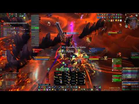 Vestige VS Neltharion Mythic | Resto Druid POV