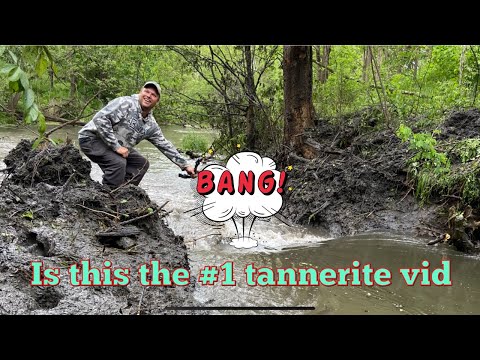 50 pounds of tannerite vs beaver dam {drained in minutes}