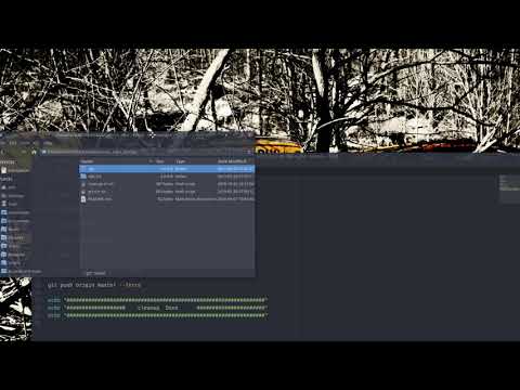 ArcoLinux : 945 Cleaning up the repository is necessary - local - 1/2