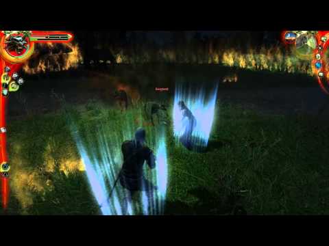 9. Let's Play The Witcher: Enhanced Edition [BLIND] - The Beast