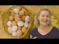 How Many Eggs Does A Chicken Lay A Day