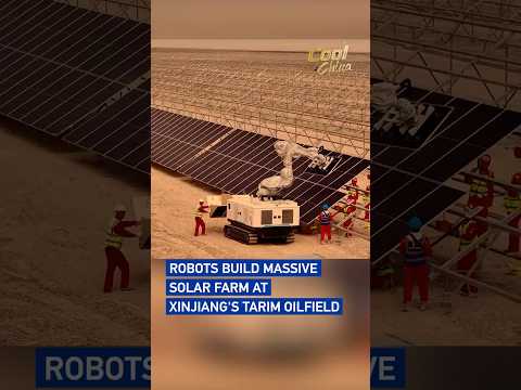 Robots build massive solar farm at Xinjiang's Tarim Oilfield#coolchina