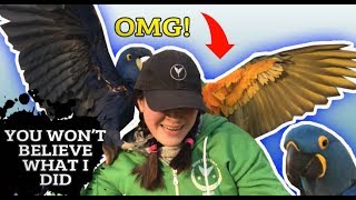 YOU WON&#39;T BELIEVE WHAT I DID WITH MY PARROTS!